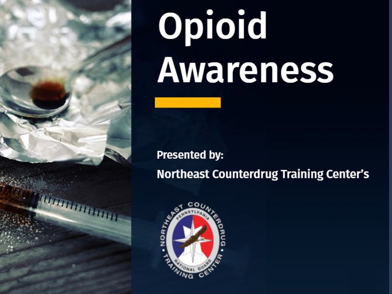 Opioid Seminar Online